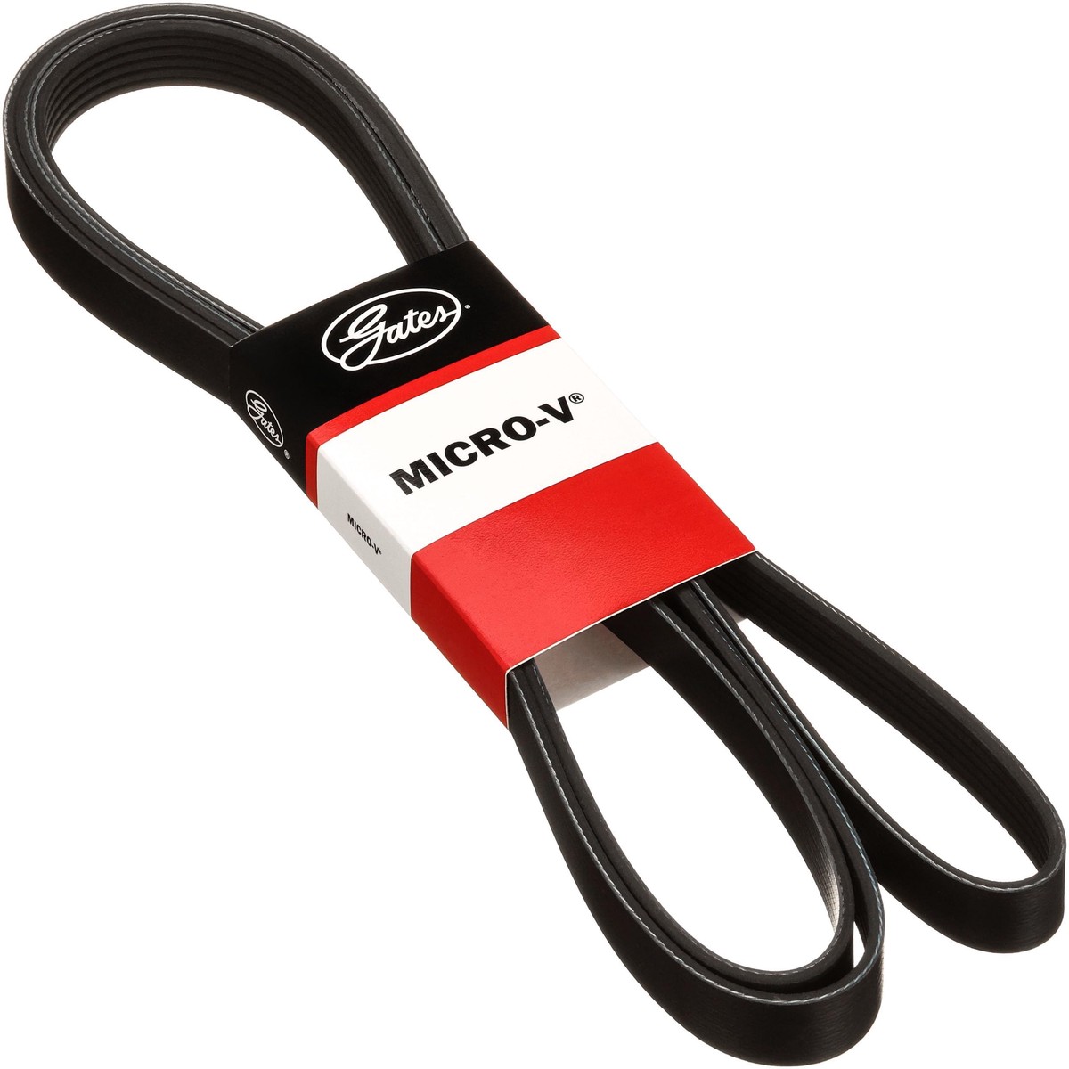Serpentine Multi V-Belt - CHARGER 2009-2011