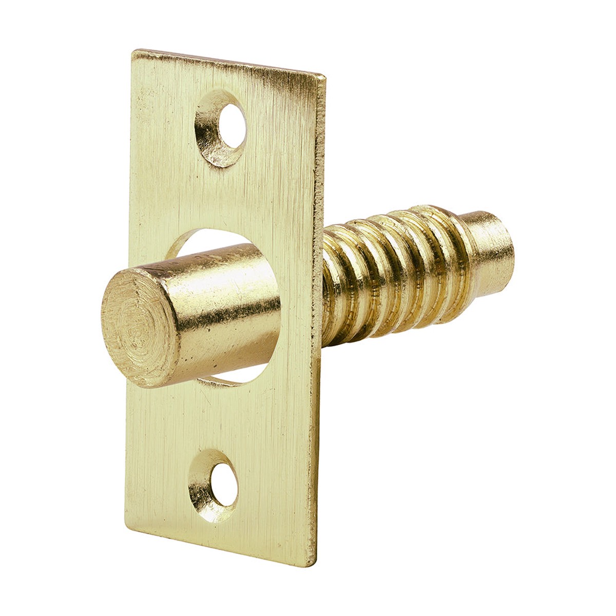 Timco - Hinge Bolt - Electro Brass 48mm (2 Pieces Bag)