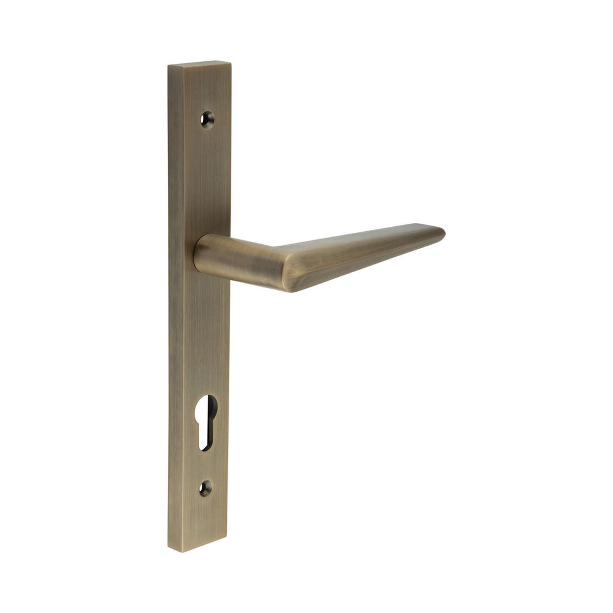 CRES - CR-107 Antique Brass Multi Point Backplate Door Handle