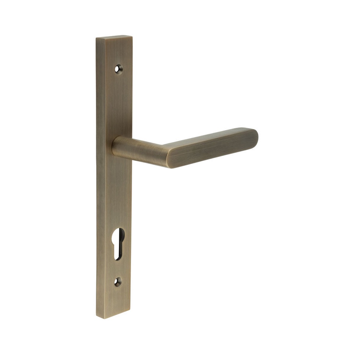 CRES - CR-101 Antique Brass Multi Point Backplate Door Handle