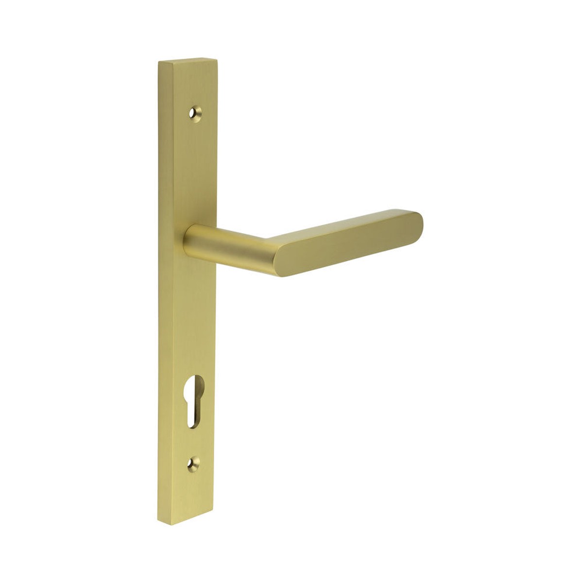 CRES - CR-101 Satin Brass Multi Point Backplate Door Handle