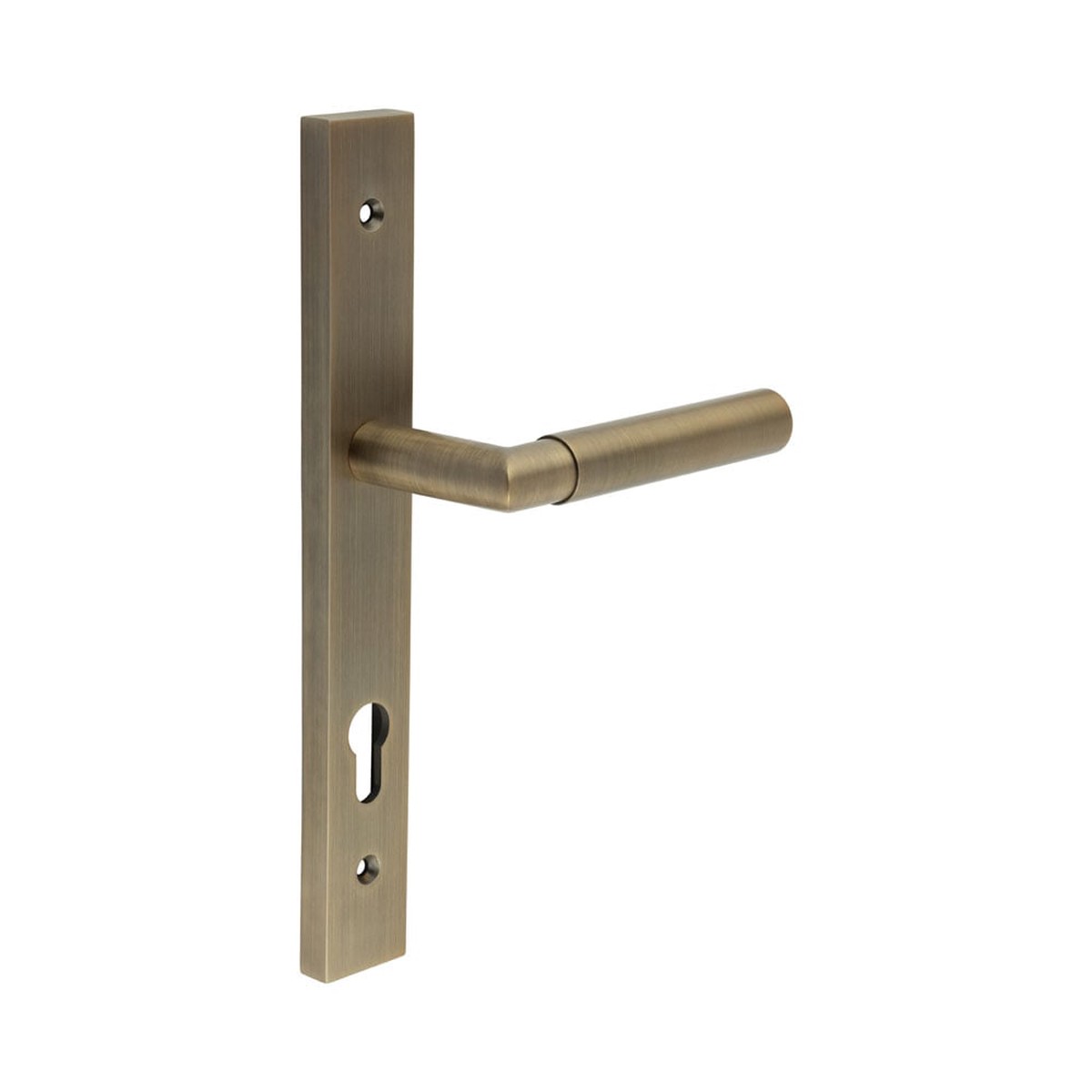 CRES - CR-102 Antique Brass Multi Point Backplate Door Handle