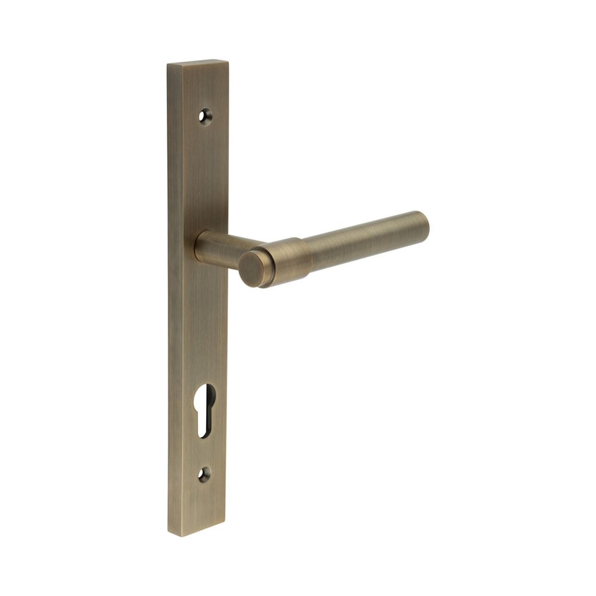 CRES - CR-103 Antique Brass Multi Point Backplate Door Handle
