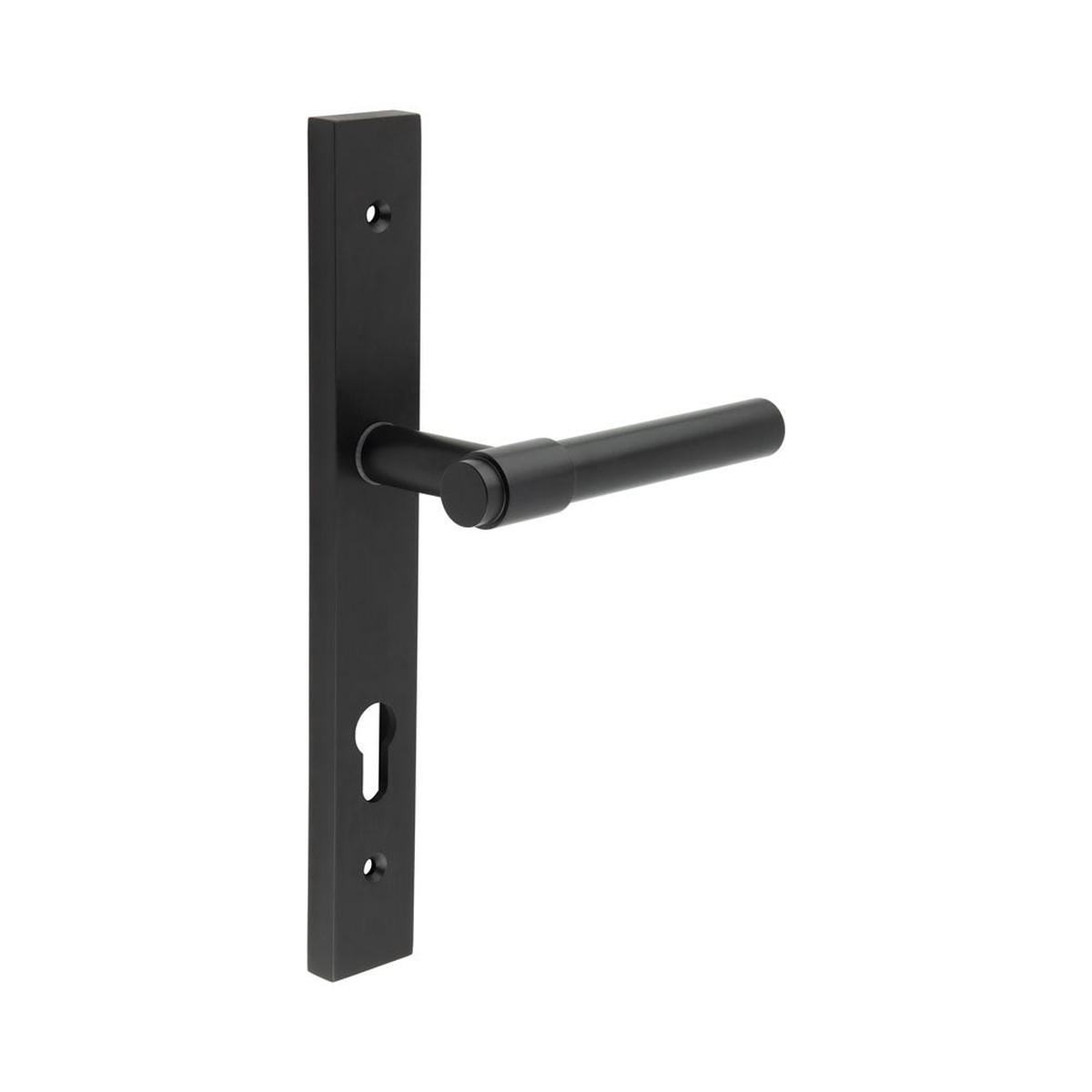 CRES - CR-103 Black Multi Point Backplate Door Handle