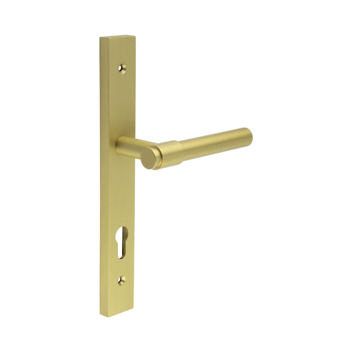 CRES - CR-103 Satin Brass Multi Point Backplate Door Handle