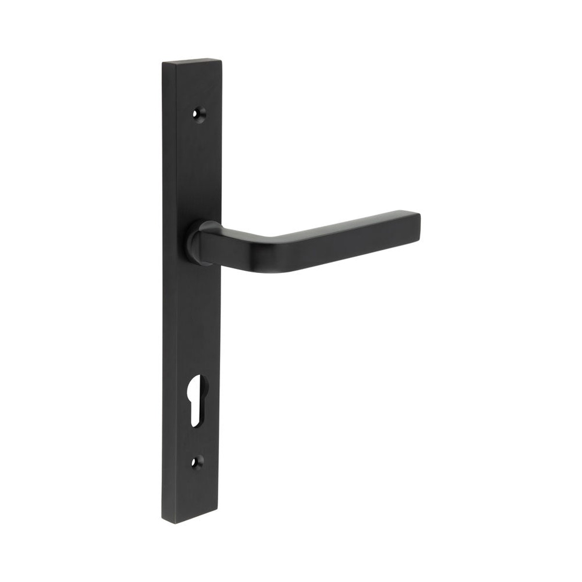 CRES - CR-104 Black Multi Point Backplate Door Handle