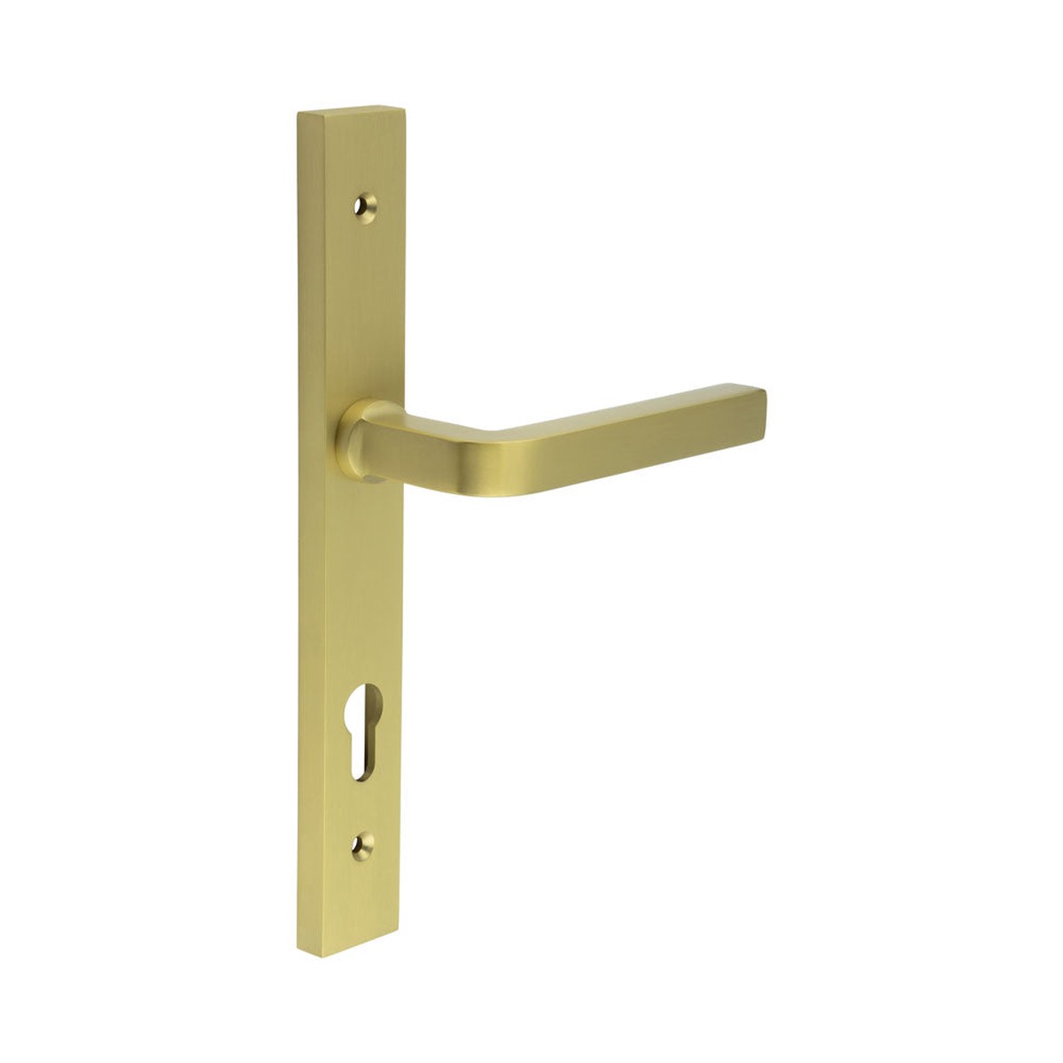 CRES - CR-104 Satin Brass Multi Point Backplate Door Handle