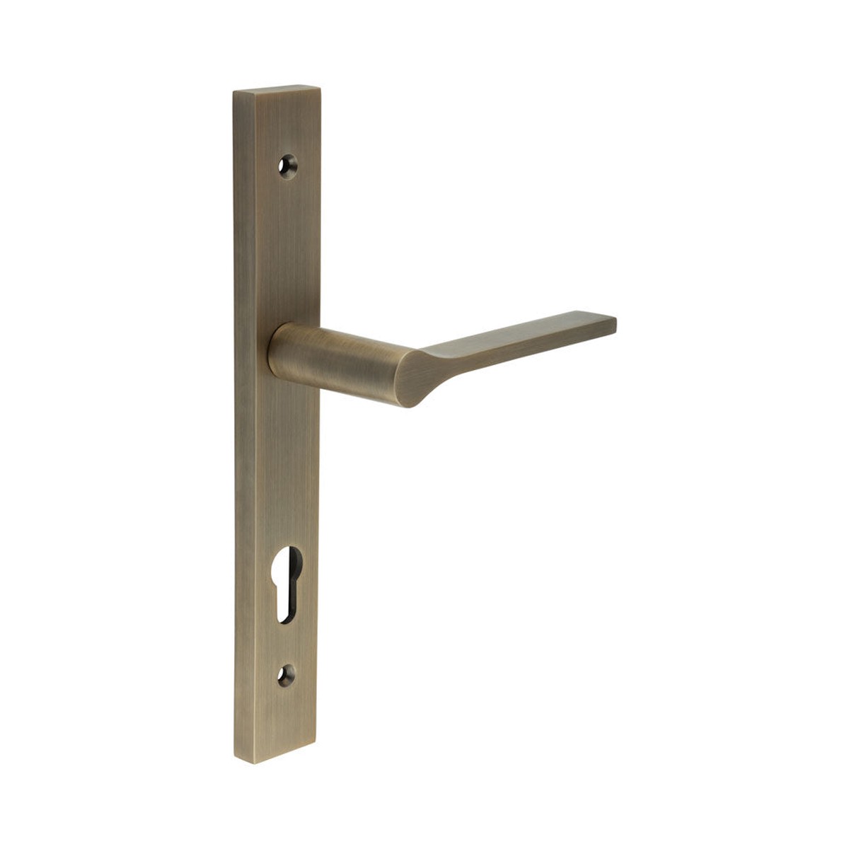 CRES - CR-105 Antique Brass Multi Point Backplate Door Handle