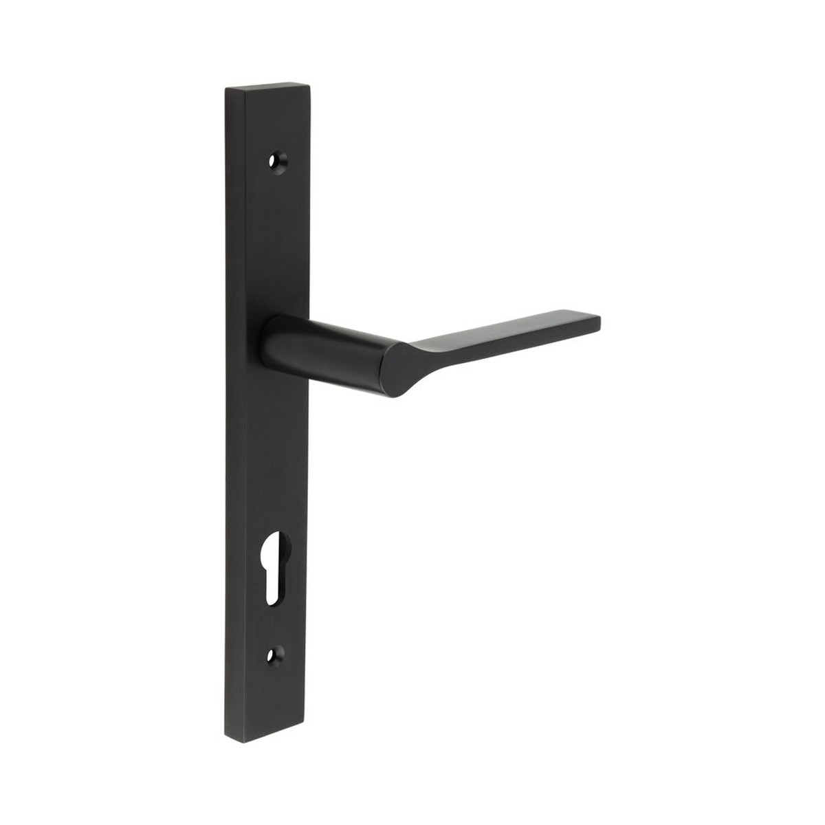 CRES - CR-105 Black Multi Point Backplate Door Handle