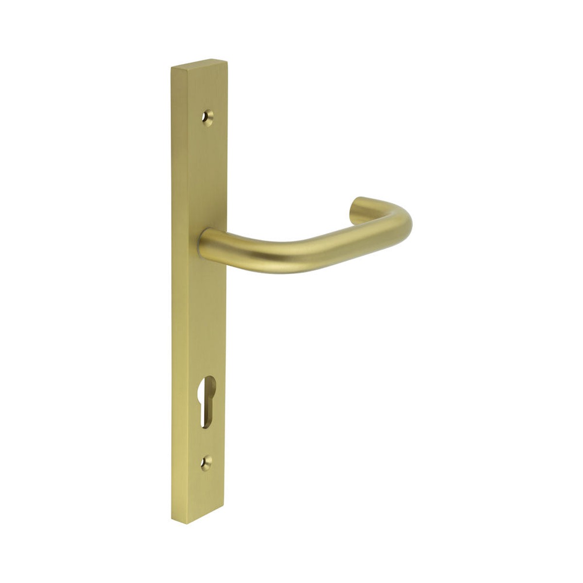 CRES - CR-106 Satin Brass Multi Point Backplate Door Handle