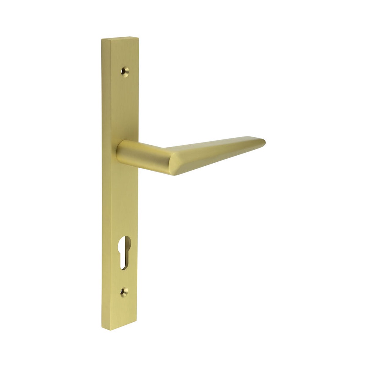 CRES - CR-107 Satin Brass Multi Point Backplate Door Handle