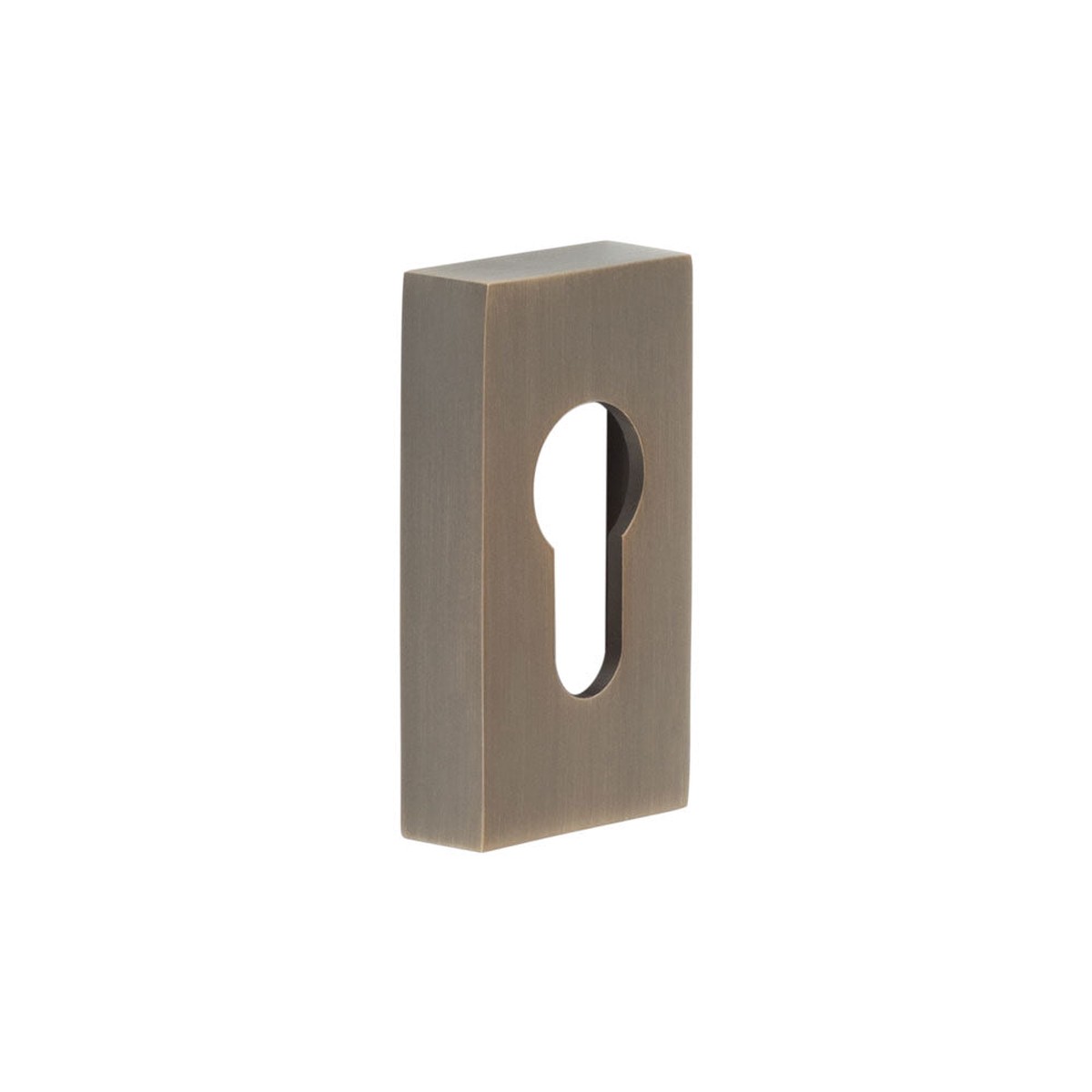 CRES - Rectangular Antique Brass Euro Escutcheon