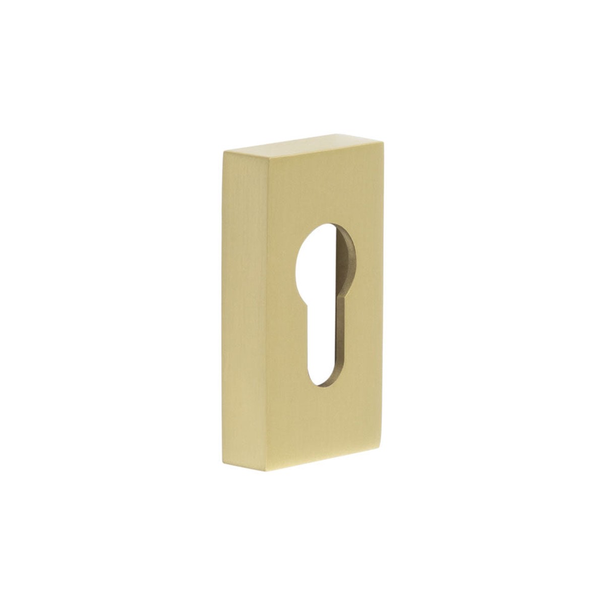 CRES - Rectangular Satin Brass Euro Escutcheon