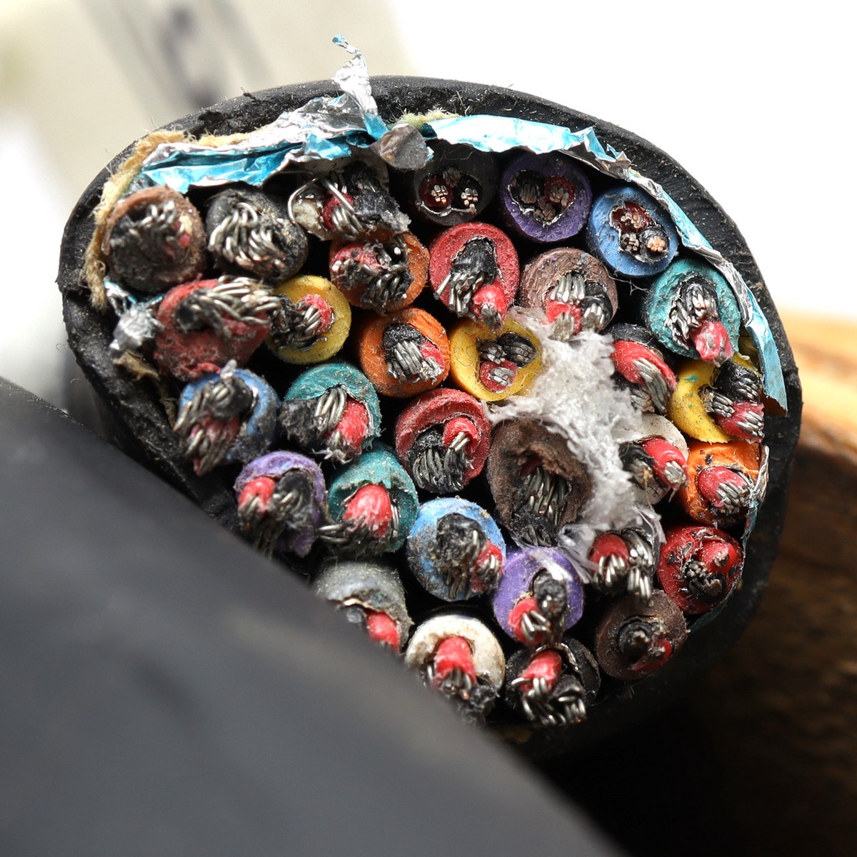 32-Channel Microphone Snake Cable, 20ft