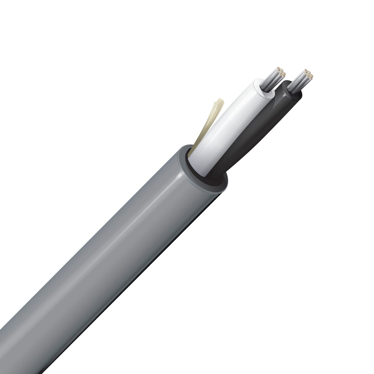 Belden 6000UE 12AWG 2-Conductor PVC Jacketed Speaker Cable, 100ft